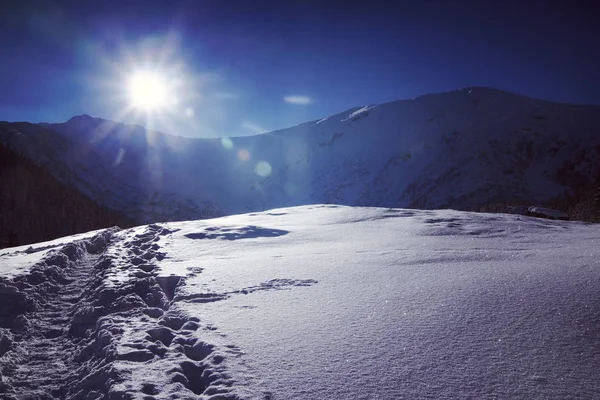 Zasněžené Pohled Tatrách Zimní Krajiny Série Tónovaný Obrázek — Stock fotografie