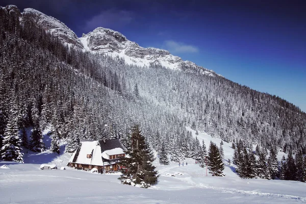 Snöiga Tatrabergen Vinter Landskap Serien Fjällstuga Bakgrunden Tonad Bild — Stockfoto