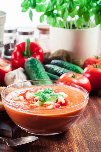 Spicy homemade gazpacho soup — Stock Photo, Image