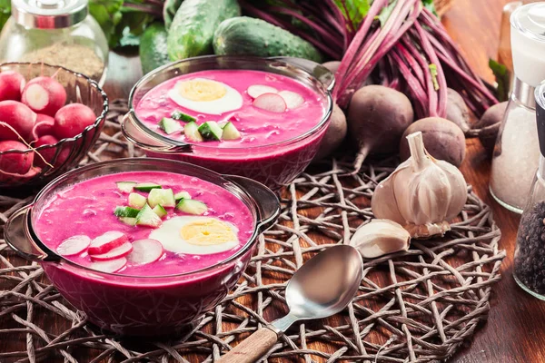 Sopa de beterraba fria com ovo, pepino e verduras — Fotografia de Stock