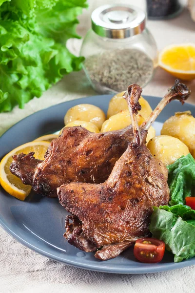 Eendenpoten confit met gekookte aardappelen — Stockfoto