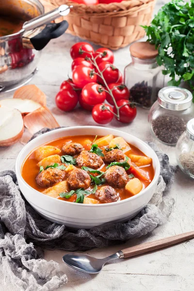 Albondigas - tomato soup with meatballs — Stock Photo, Image