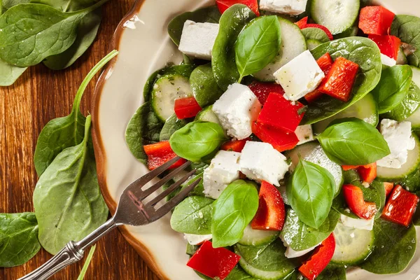 Beyaz peynir, salatalık ve bir pla üzerinde kırmızı pul biber taze ıspanak salatası — Stok fotoğraf