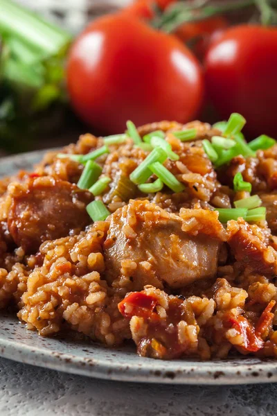 Chicken Jambalaya Spicy Rice Chicken Sausage Creole Dish — Stock Photo, Image