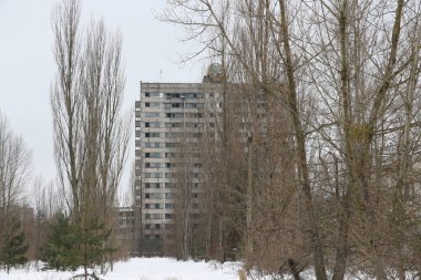 Terk edilmiş bir binada Pripyat, Chernobyl bölge, bir nükleer kaza, Çernobil, dışlama bölgesi, Ukrayna sonuçlarını ağaçları ile büyümüş 