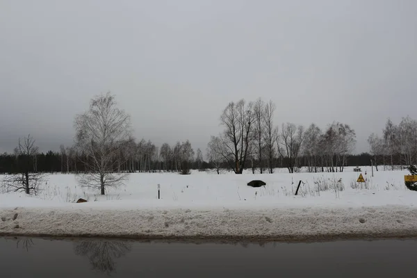 Pripyat 체르노빌 체르노빌 우크라이나의 결과에서 나무가 버려진된 — 스톡 사진