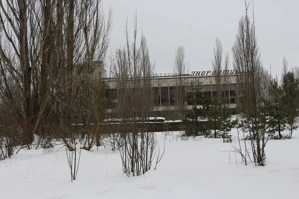 Bâtiment Abandonné Envahi Arbres Pripyat Dans Zone Tchernobyl Les Conséquences — Photo