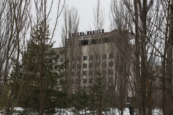 An abandoned building overgrown with trees in Pripyat, the Chernobyl zone, the consequences of a nuclear accident, Chernobyl, exclusion zone, Ukraine