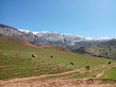 Dağ vadisi yolu manzarası .