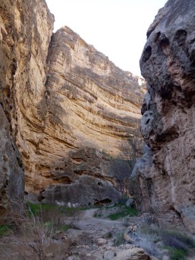 Türkmenistan dağlarında vadide. Panoramik görünüm.