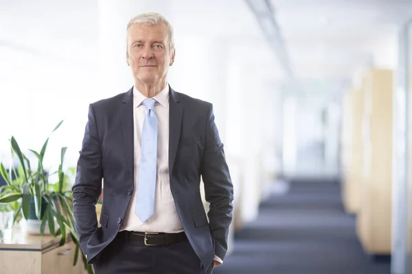 Een Zakenman Van Senior Salesmanager Permanent Bestuurskamer — Stockfoto