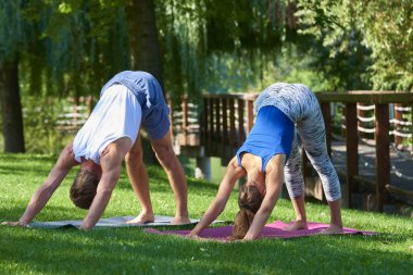 Genç adam kadın eğitim yoga birlikte parkta bir kadeh tam uzunlukta. Yoga açık yaparken çift.