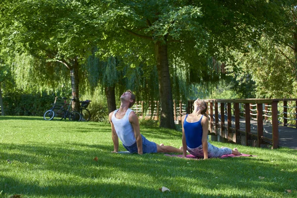 Tiro Cuerpo Entero Hombre Mujer Jóvenes Entrenando Yoga Juntos Parque —  Fotos de Stock
