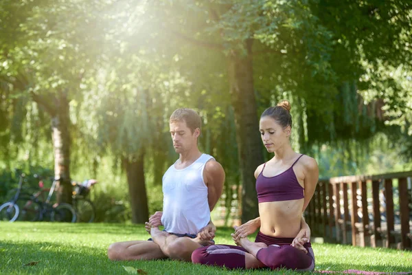 Tiro Cuerpo Entero Hombre Mujer Jóvenes Entrenando Yoga Juntos Parque —  Fotos de Stock