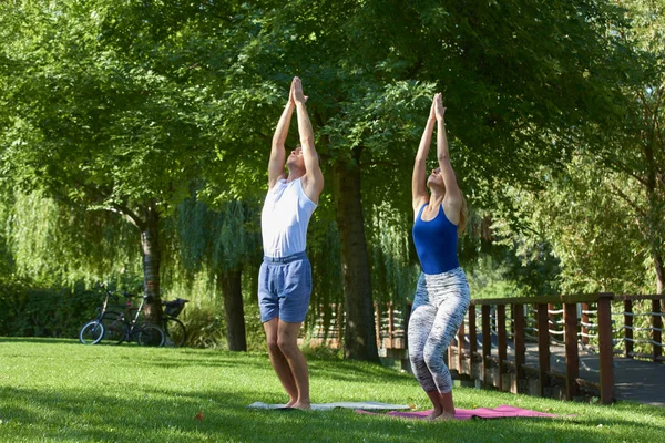 Tiro Cuerpo Entero Hombre Mujer Jóvenes Entrenando Yoga Juntos Parque —  Fotos de Stock