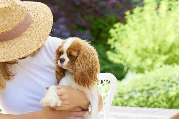 キャバリア Kingcharles 子犬犬と庭に座っている麦わら帽子身に着けている女性のショット — ストック写真