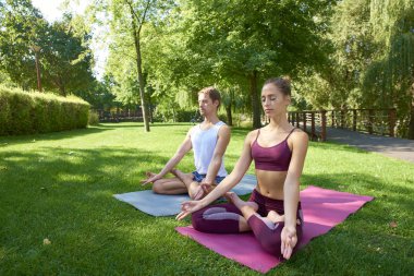 Yüksek açı çekim pratik yoga açık havada parkta genç çiftin. Açık meditasyon. 