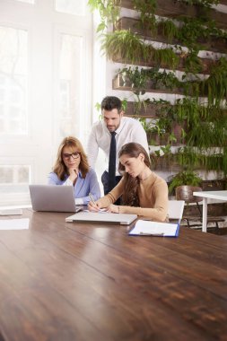 Grup birlikte yeni projede çalışan iş adamları. Genç işkadını ve onların arkasında duran ve tavsiye veren işadamı iken dizüstü bilgisayar önünde oturan çift olgun profesyonel kadın.