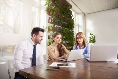Ofiste takım çalışması. Dizüstü bilgisayar önünde onun meslektaşları ile oturma ve yeni iş planı hakkında danışmanlık genç mali asistanı iş kadını.