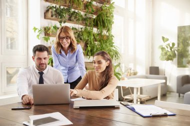 Bir grup iş adamı iş projesinde birlikte çalışıyor. Genç sekreter kadın ve finans danışmanı iş adamı dizüstü bilgisayarın önünde otururken orta yaşlı profesyonel kadın arkalarında duruyor ve tavsiyelerde bulunuyor..