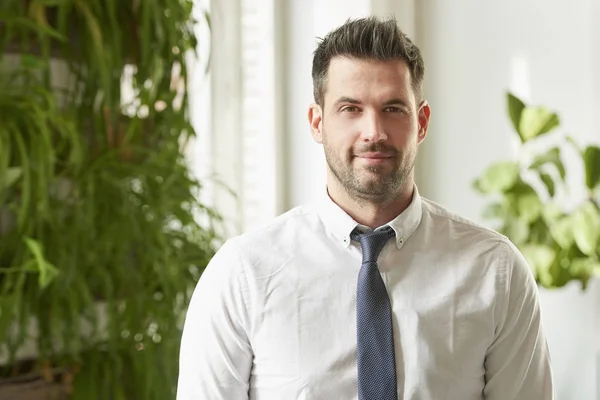 Retrato Del Hombre Mediana Edad Usando Camisa Corbata Mientras Está — Foto de Stock