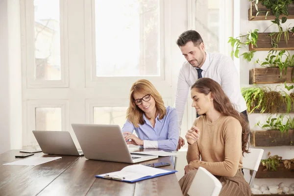 Group of business people working together on business project. Young sales businesswoman and executive mature professional woman sitting in front of laptop while financial advisor businessman standing behind them and giving advice.