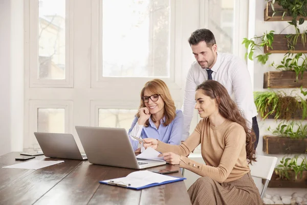 Group of business people working together on business project. Young sales businesswoman and executive mature professional woman sitting in front of laptop while financial advisor businessman standing behind them and giving advice.