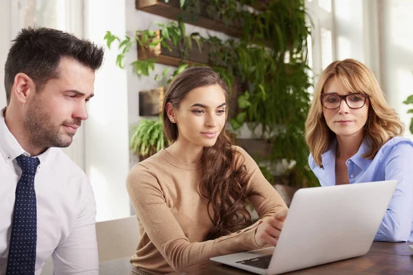 Ofiste takım çalışması. Dizüstü bilgisayar önünde onun meslektaşları ile oturma ve yeni iş planı hakkında danışmanlık genç mali asistanı iş kadını.