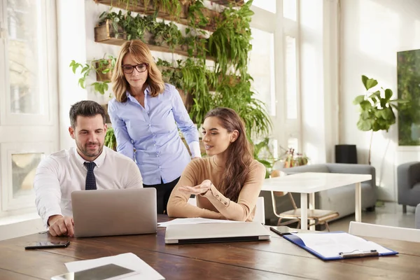 Bir grup iş adamı iş projesinde birlikte çalışıyor. Genç sekreter kadın ve finans danışmanı iş adamı dizüstü bilgisayarın önünde otururken orta yaşlı profesyonel kadın arkalarında duruyor ve tavsiyelerde bulunuyor..