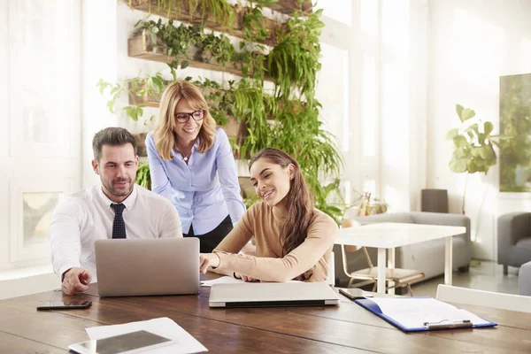 Group of business people working together on business project.  Young secretary woman and financial advisor businessman sitting in front of laptop while middle aged executive professional woman standing behind them and giving advice.