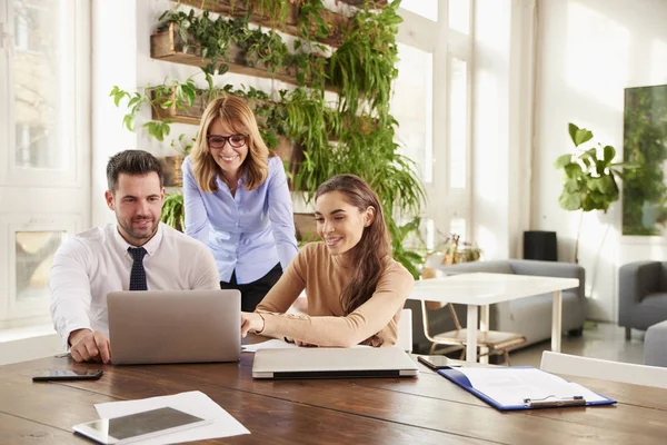 Groep Van Zakenmensen Die Samenwerken Aan Business Project Jonge Secretaresse — Stockfoto