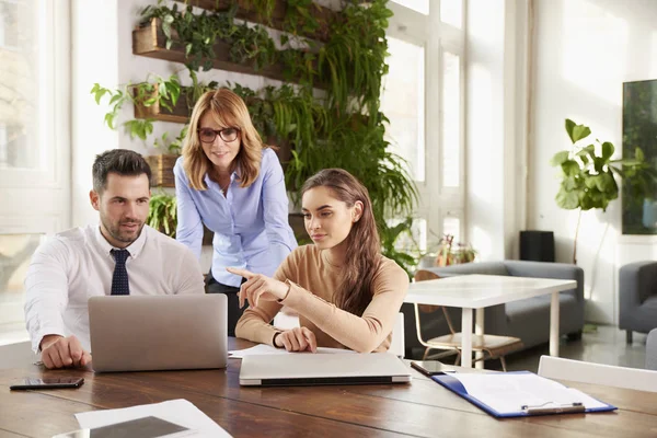 Groep Van Zakenmensen Die Samenwerken Aan Business Project Jonge Secretaresse — Stockfoto