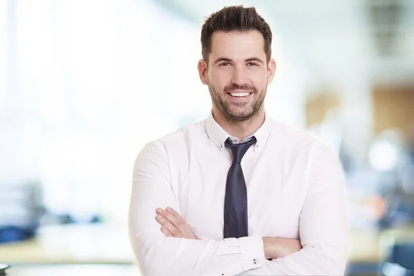 Retrato Tiro Homem Negócios Sorrindo Vestindo Camisa Gravata Enquanto Com — Fotografia de Stock