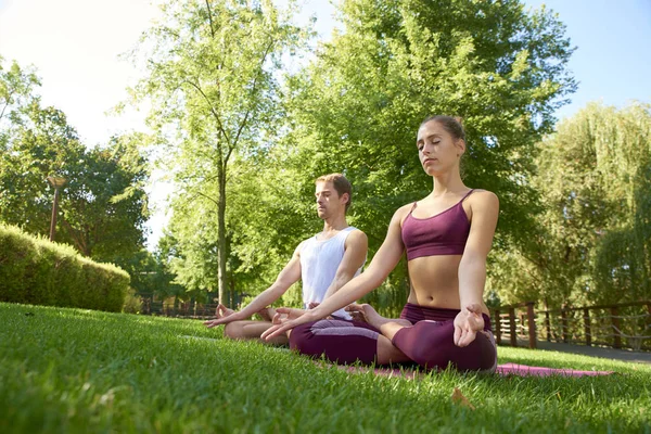 Coppia praticare yoga all'aperto — Foto Stock