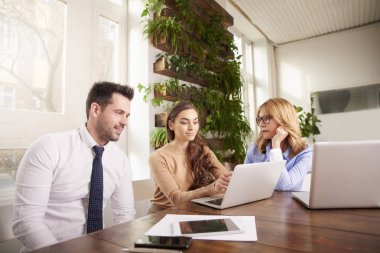 Offic çalışırken dizüstü bilgisayar kullanan iş adamları grubu