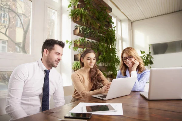 Group of business people using laptop while working in the offic — Stock Photo, Image
