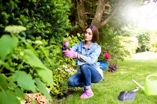 Plan Complet Jardinage Jeune Femme Maison Dans Cour Arrière Femme — Photo