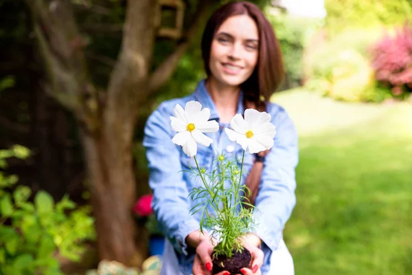 庭に立ち 土から花を咲かせながら手袋をしている美しい若い女性のショット 花を中心に — ストック写真