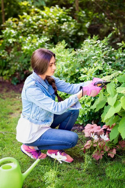 Arka Bahçede Bahçeyle Uğraşan Genç Bir Kadının Fotoğrafı Bitkileri Budarken — Stok fotoğraf