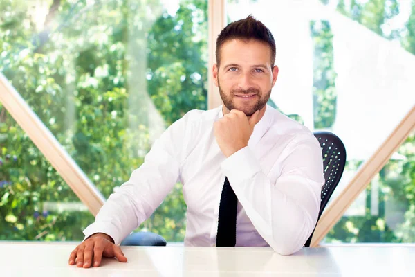 Portrait Shot Confident Businessman Wearing Shirt Tie Looking Camera While — Stock Photo, Image