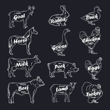 çiftlik hayvanları toplama vektör. Kasaplık logo ve metin etiketi