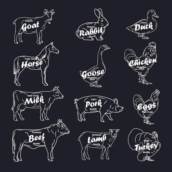 Coleta vetorial de animais de fazenda. Logotipo de talho e etiqueta com texto —  Vetores de Stock