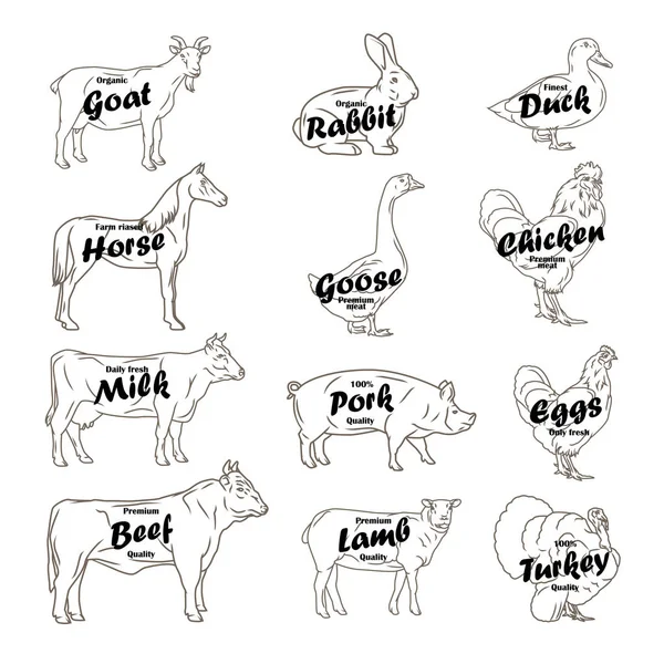 Animales de granja colección vector. Logo y etiqueta de la carnicería con texto — Vector de stock