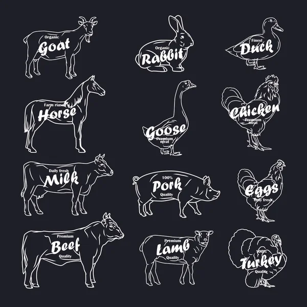 Animales de granja colección vector. Logo y etiqueta de la carnicería con texto Gráficos Vectoriales