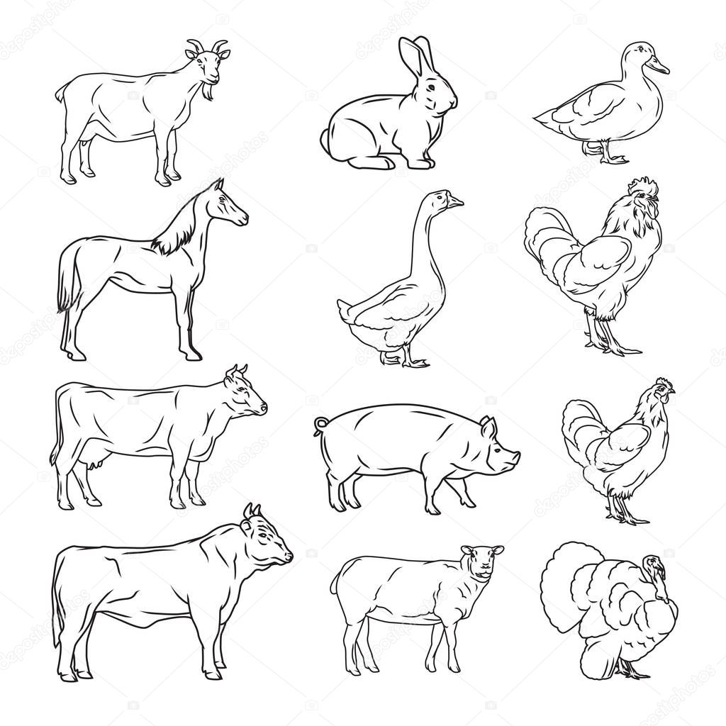 Farm animals vector collection. Cow, pig, chicken, sheep, goat, turkey, goose, horse logo.