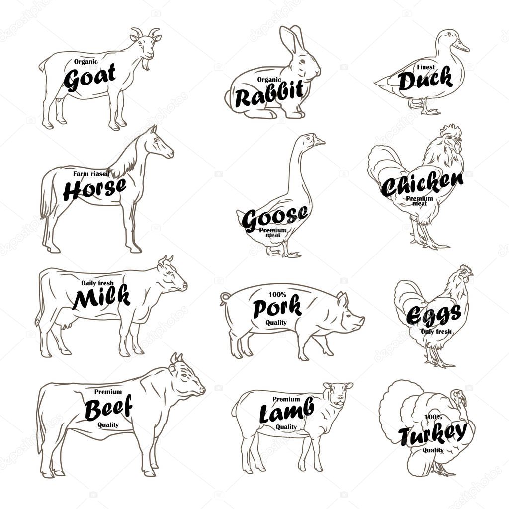 Farm animals vector collection. Butchery logo and label with text