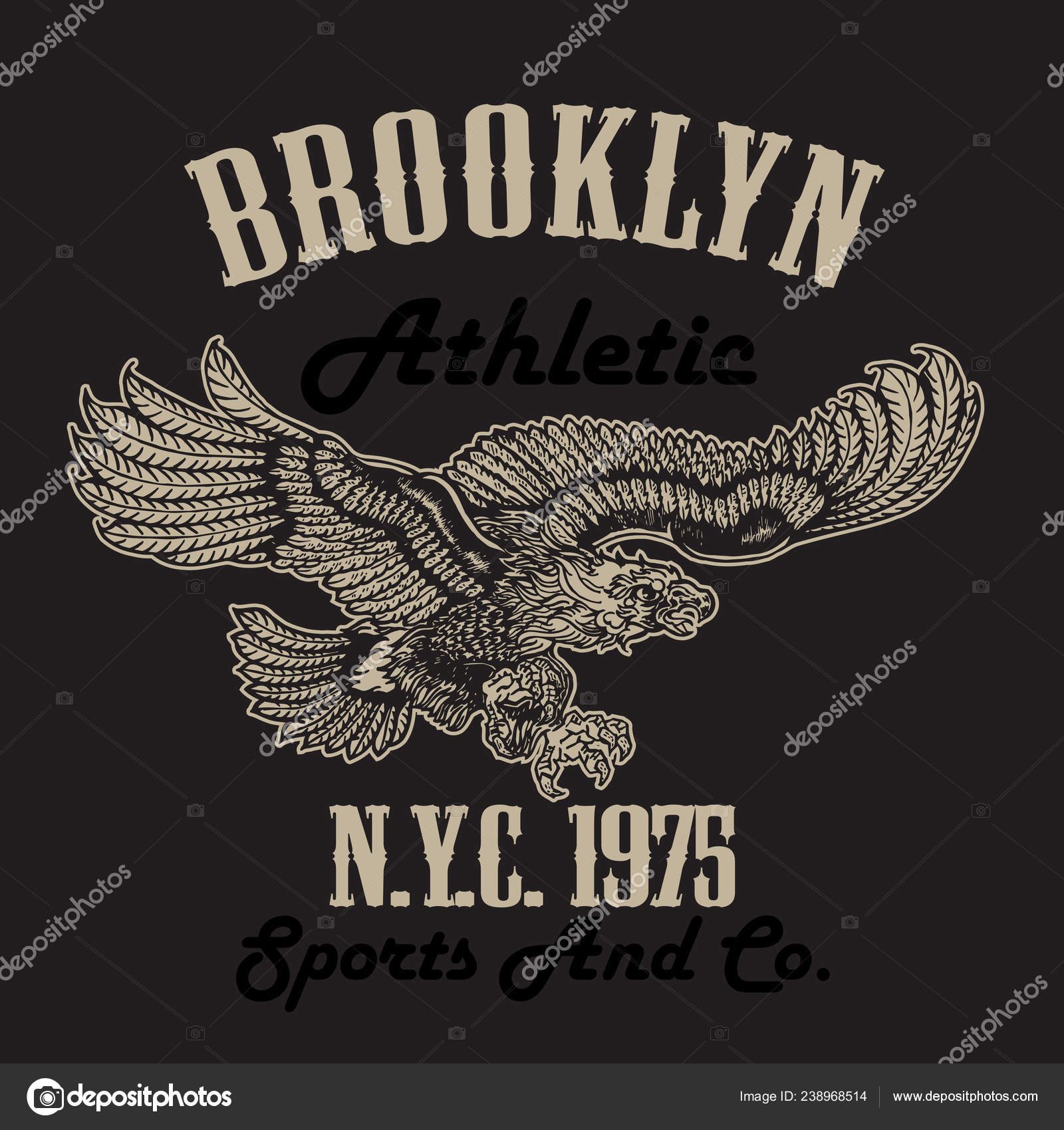 Diseño Camiseta Deportiva Estilo Antiguo Águila Ilustración Vectorial  Vintage Vector de stock #238968514 de ©Ihor.k, image size:1600x1700