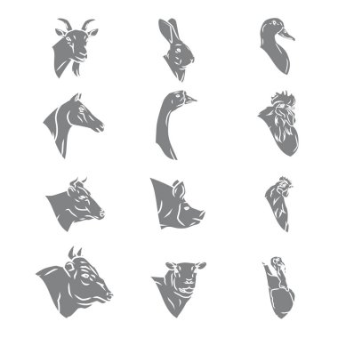 Çiftlik hayvan başları vektör toplama. Kasaplık logo ve etiketleri kümesi izole.