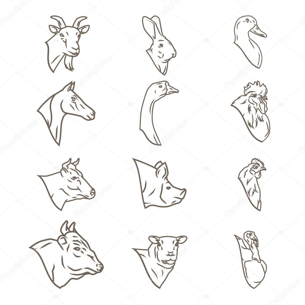 Farm animal heads vector collection. Butchery logo and labels.