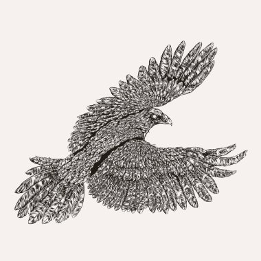 Uçan kartal eli çizilmiş. Siyah kuş vektör illüstrasyon. T-shirt grafik tasarım